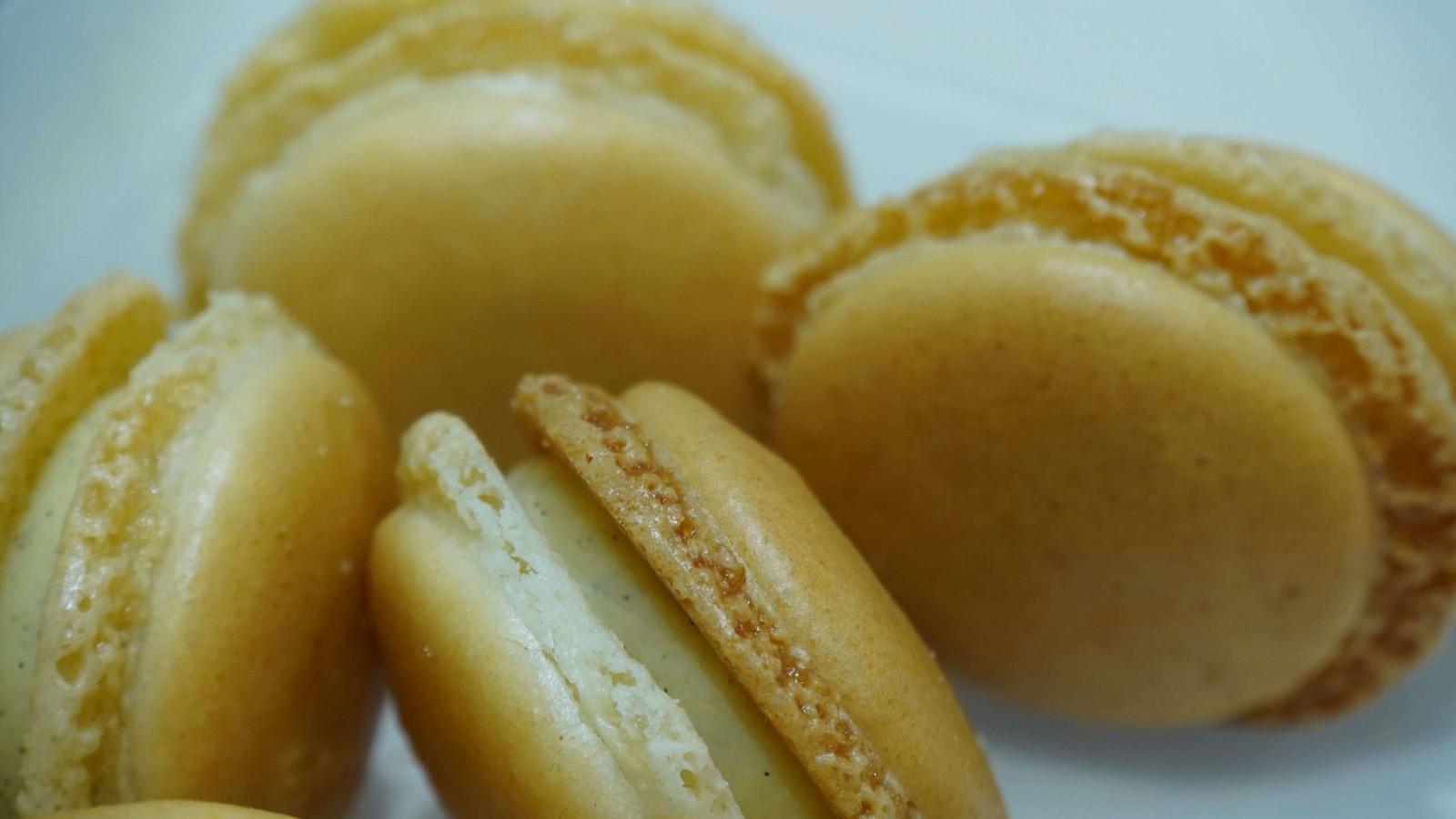 macaron vanille